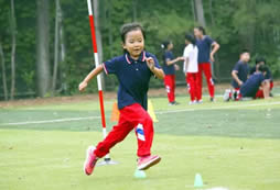 北京昌平区国际小学排名