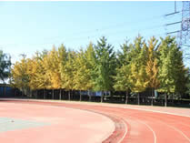 成都国际学校费用